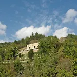 Terra Motovun
