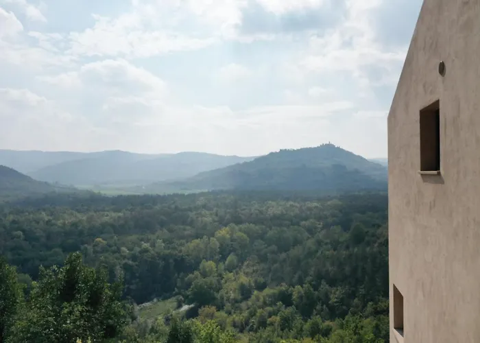 Terra * Motovun