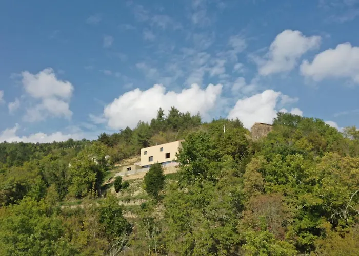 Terra Motovun